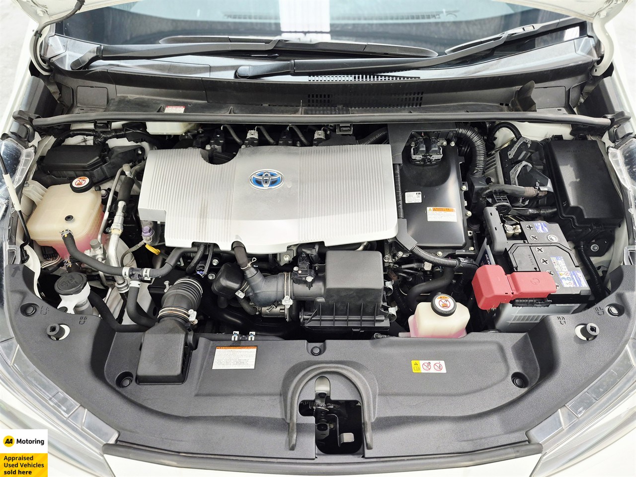 2019 Toyota Prius