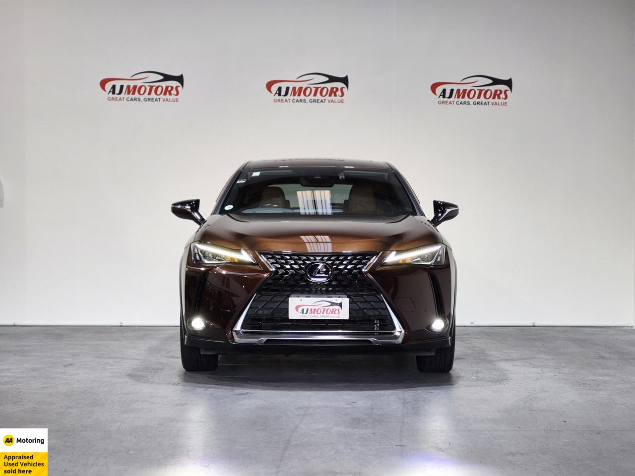 2019 Lexus UX 250h