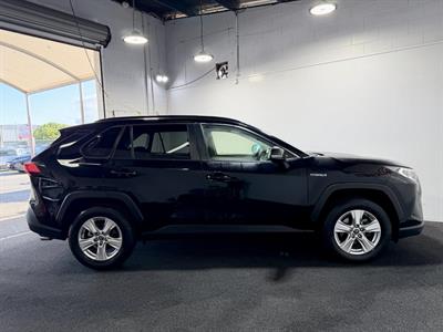 2019 Toyota RAV4 - Thumbnail