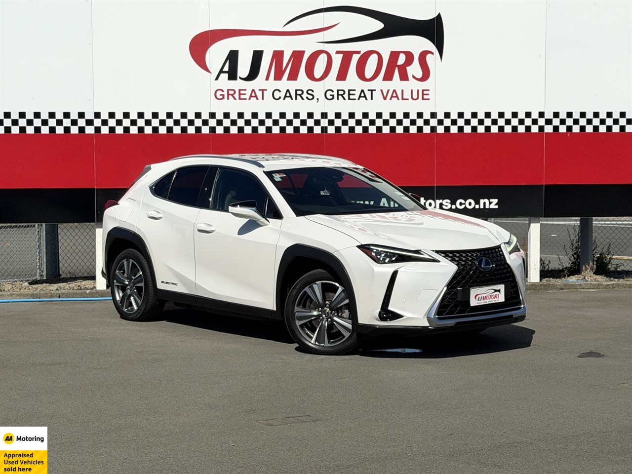 2021 Lexus UX 300E
