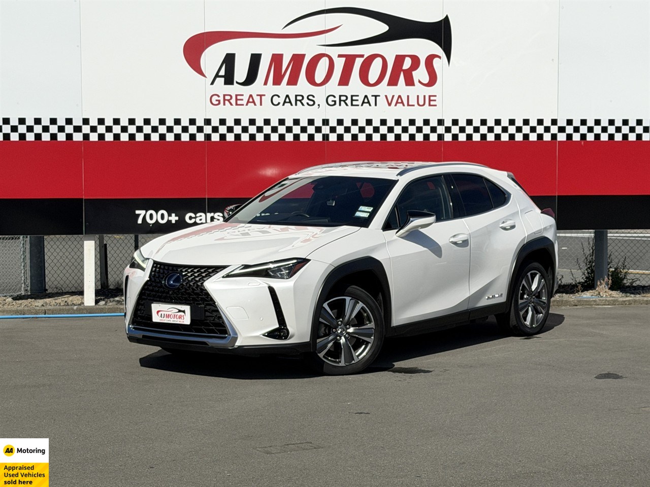 2021 Lexus UX 300E