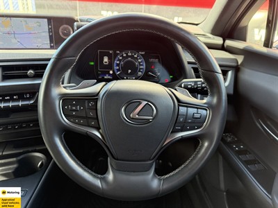 2021 Lexus UX 300E - Thumbnail
