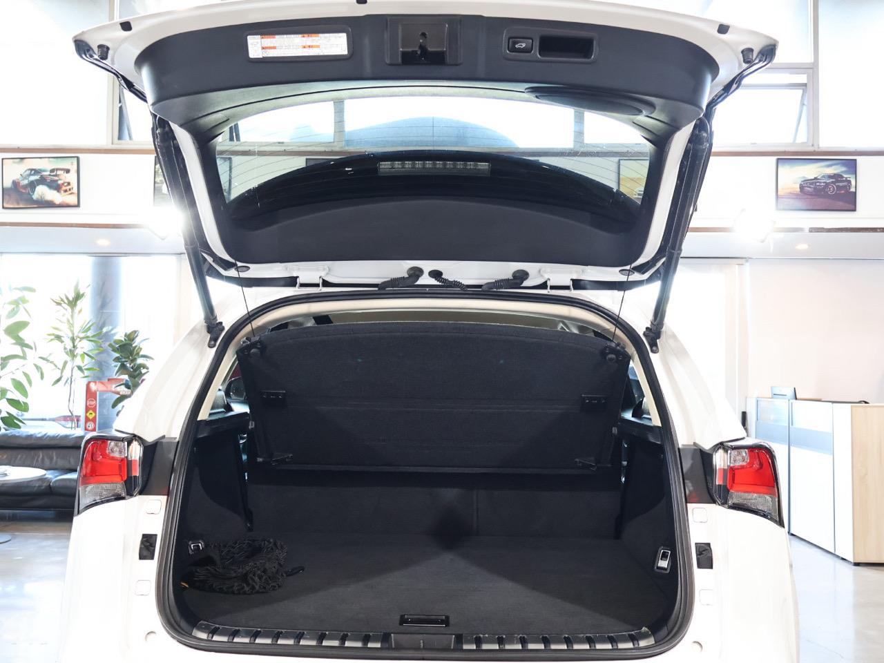 2014 Lexus NX 300h
