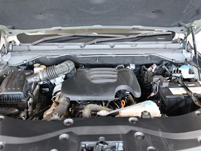 2022 Great Wall GWM Cannon - Thumbnail