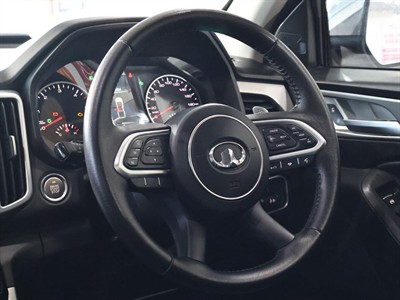 2022 Great Wall GWM Cannon - Thumbnail