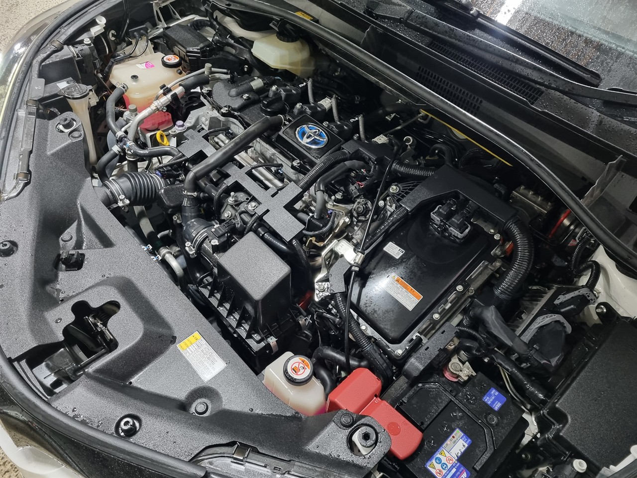 2017 Toyota C-HR