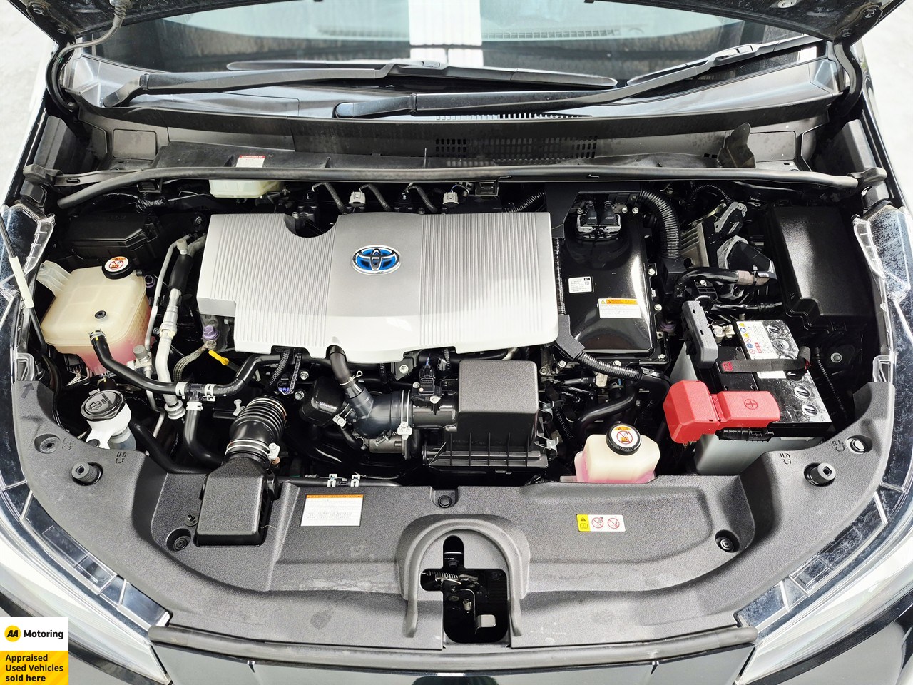 2019 Toyota Prius