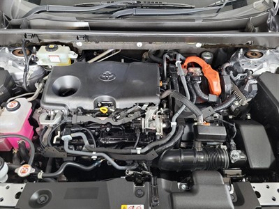 2021 Toyota RAV4 - Thumbnail