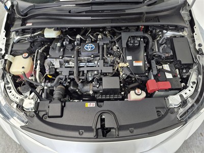 2019 Toyota Corolla - Thumbnail