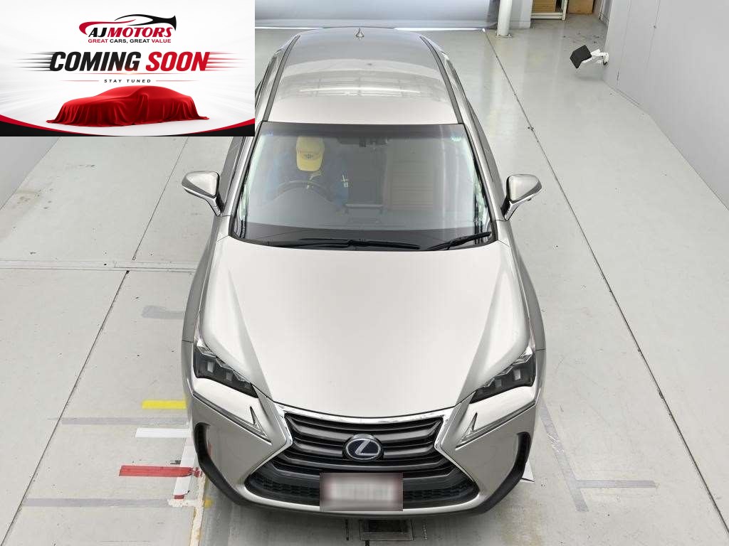 2015 Lexus NX