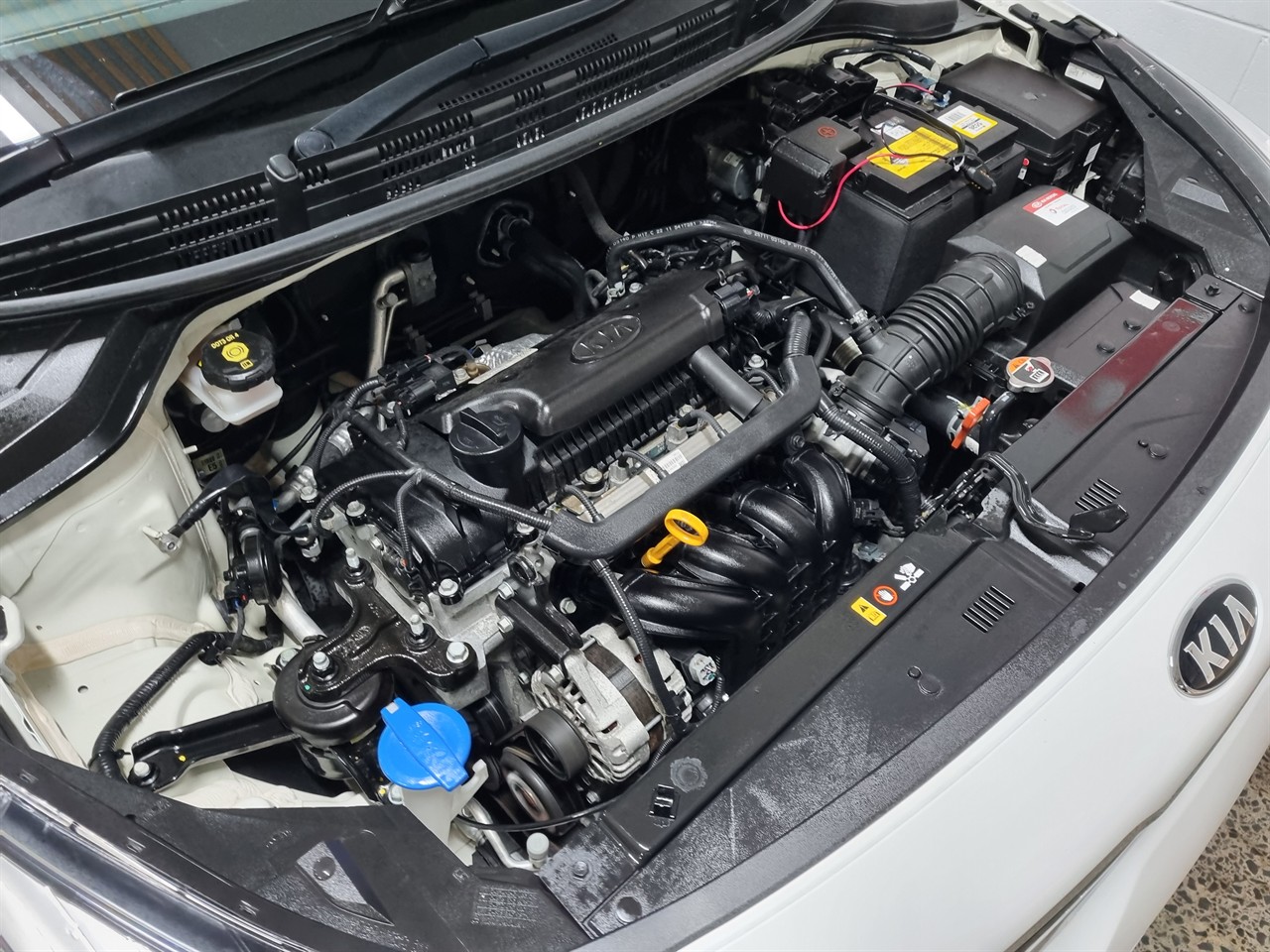 2017 Kia Rio