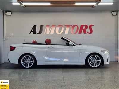 2015 BMW 220i - Thumbnail