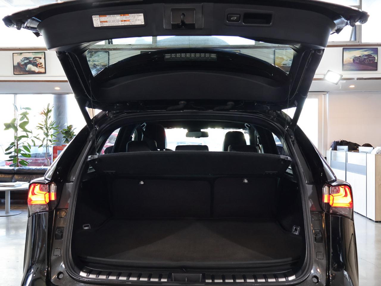 2015 Lexus NX 300h